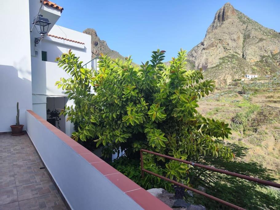 La Casa Vieja Santa Cruz de Tenerife Exterior foto